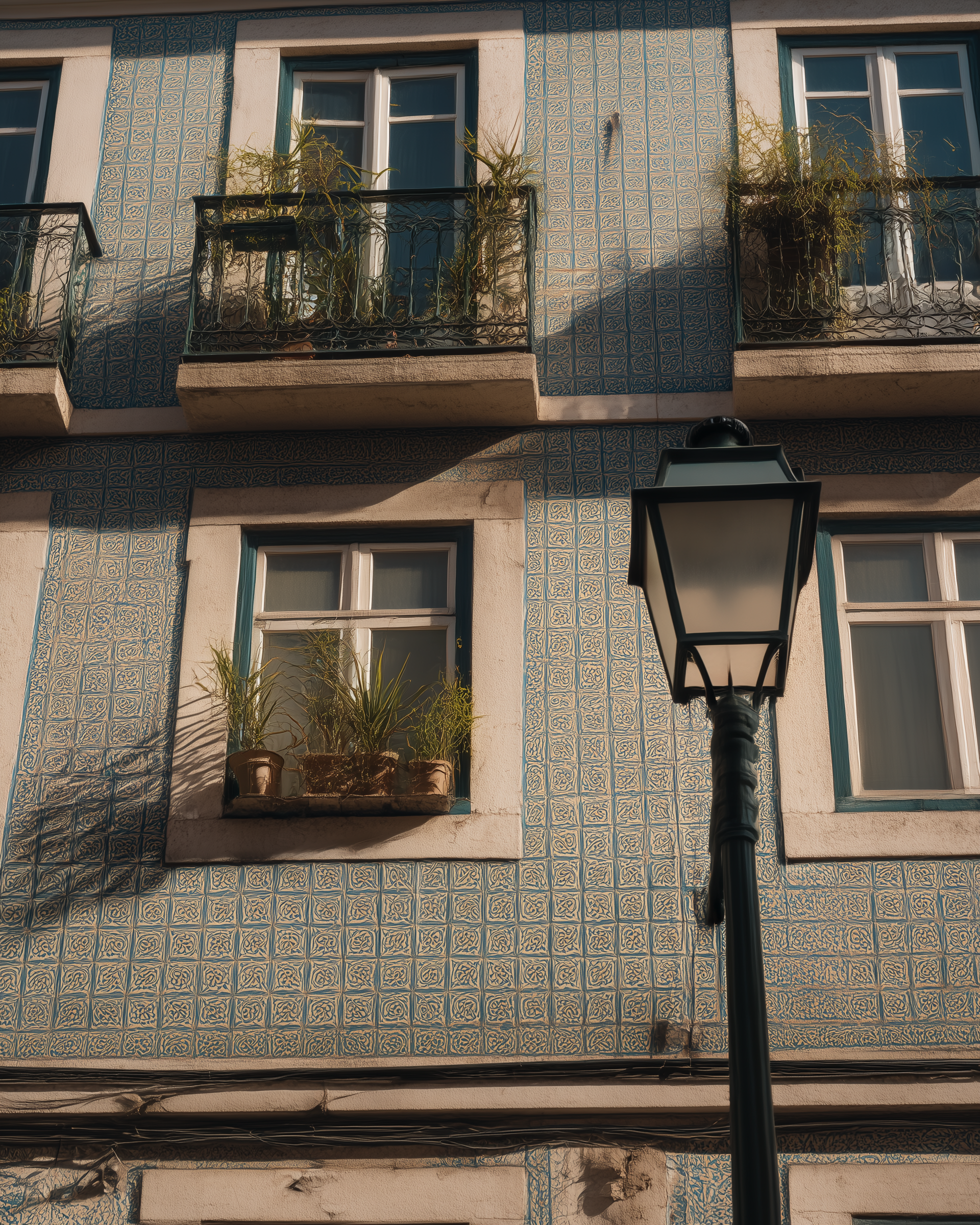 Behind Casa Lumen